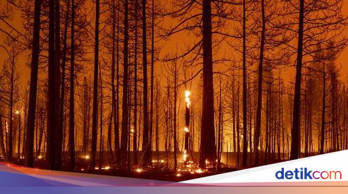 Badai Api Badai Api Pernah Menyapu Bumi, Dampaknya Menyeramkan