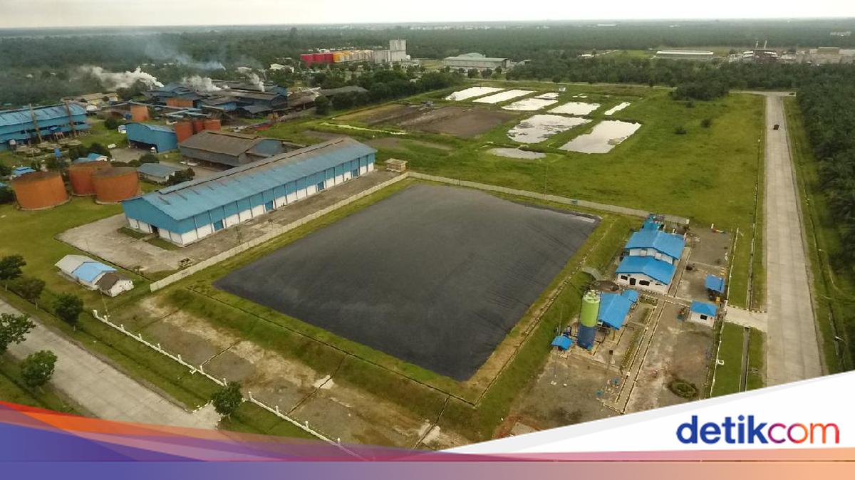 PLTBg Sei Mangkei Tekan Emisi Karbon 70 Ribu Ton/Tahun dari POME