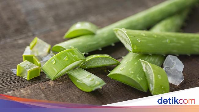 5 Obat Kolesterol Herbal Sehari Hari Yang Gampang Banget Dicari