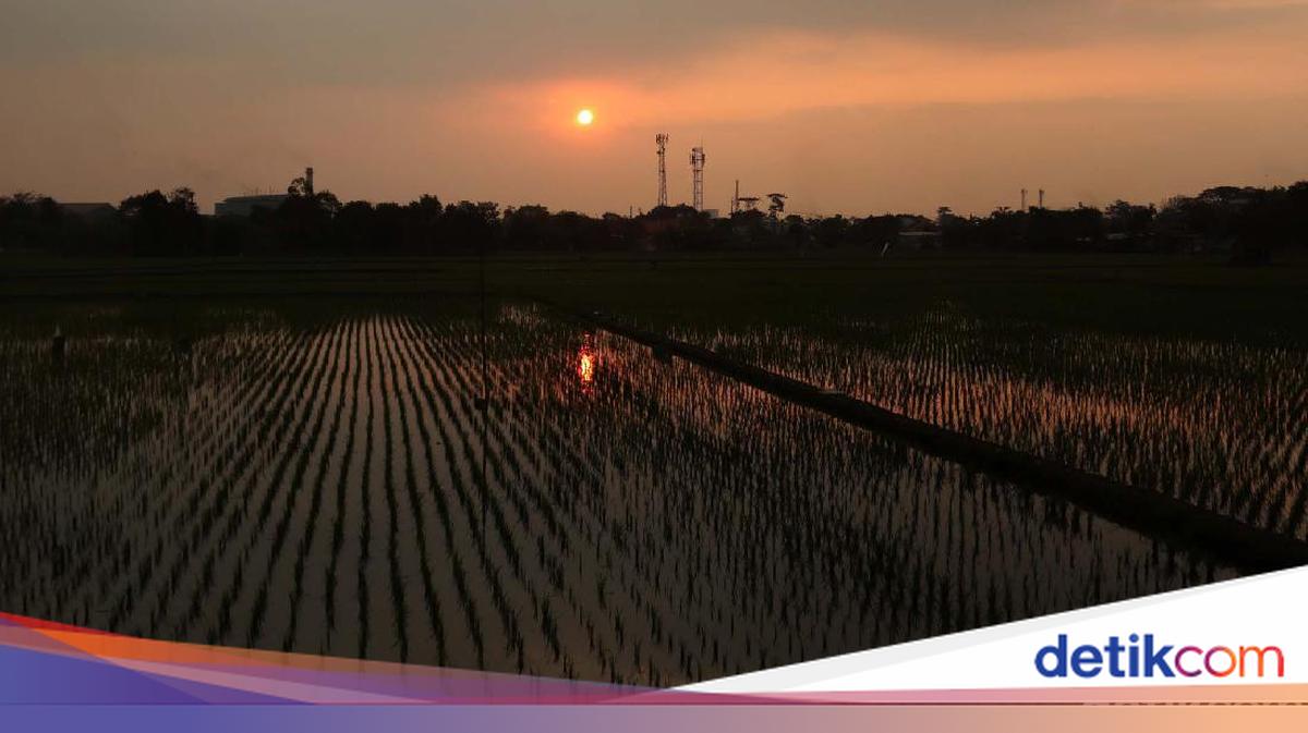 Cuaca Bandung Hari Ini, 15 Oktober 2026: Cerah-Suhu 33 Derajat Celsius