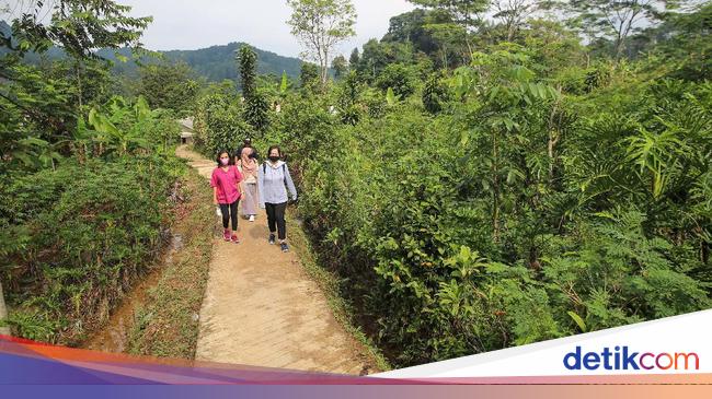 4 Rekomendasi Tempat Wisata Sejuk dan Sepi Dekat Jakarta