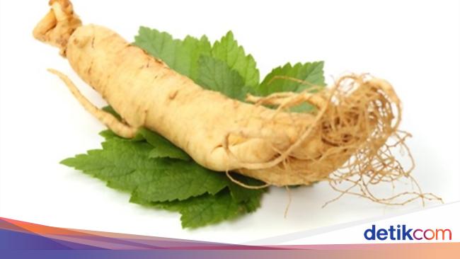 8 Manfaat Ginseng: Rahasia Herbal untuk Kesehatan Tubuh