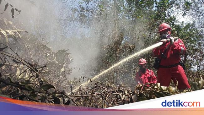 Jurus Klhk Cegah Karhutla Dari Patroli Terpadu Modifikasi Cuaca