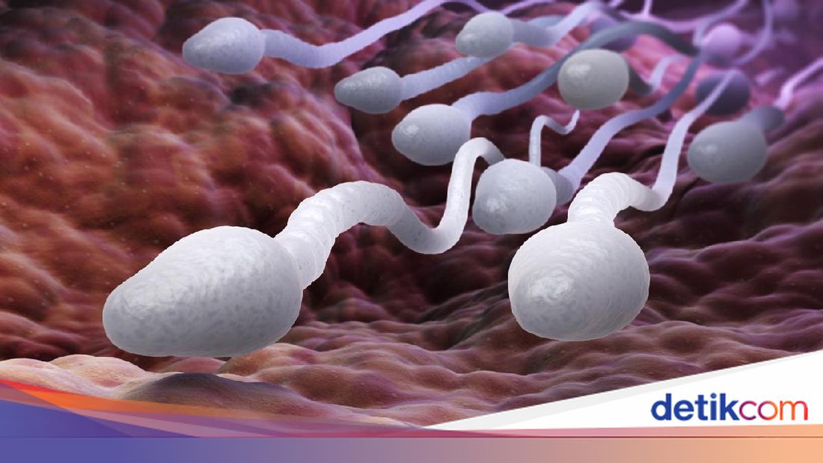 Ayol sperma qanday oqishini korsating