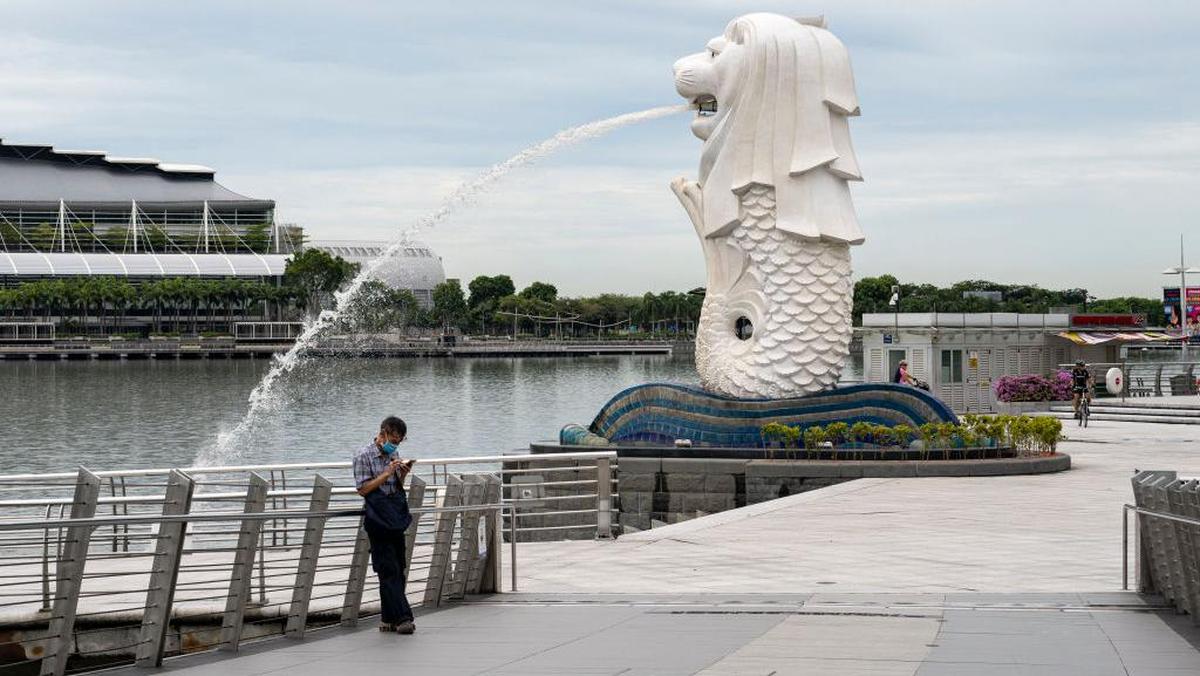 Singapura Tarik 3 Jenis Keju usai Terima Laporan Kematian di Prancis