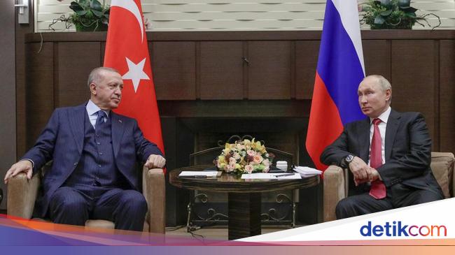 Putin Reveals Progress on Grain from Ukraine Thanks to Erdogan