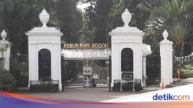Viral Pungli di Kebun Raya Bogor, Dedi Mulyadi Angkat Bicara
