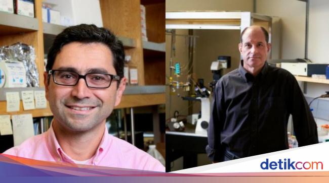 David Julius dan Ardem Patapoutian, penerima Nobel Kedokteran 2021