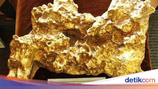 Pernah Lihat Emas Terbesar Di Dunia Begini Bentuknya