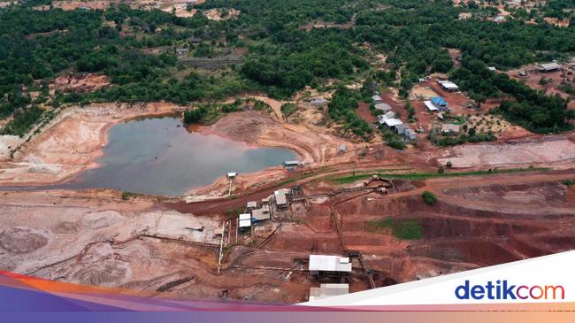 Klaim Mau Benahi Tata Kelola Timah, Kini Terancam 12 Tahun Penjara