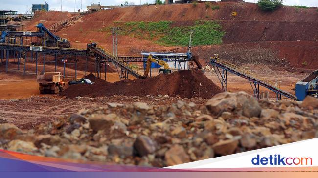 Vietnam’s Rare Earth Industry Set for Growth Amid Global Concerns