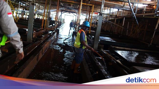 Prabowo Bersyukur RI Punya Harta Karun Incara Dunia, Segini Jumlahnya