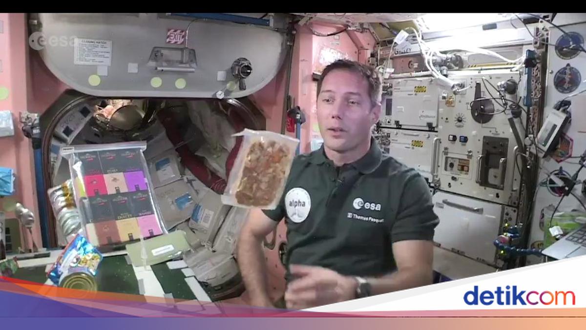 Kaya Protein dan Ringan, Serangga Diincar Jadi Makanan Astronot