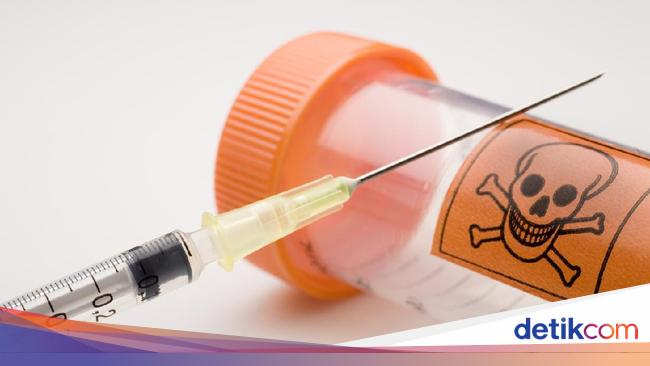 Woman in Netherlands Chooses Euthanasia on Birthday – Opens Up About Decision