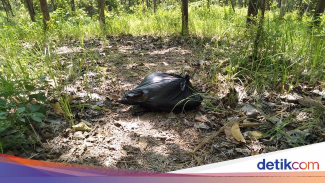 Foto Foto Penemuan Mayat Wanita Terbungkus Plastik Di Grobogan