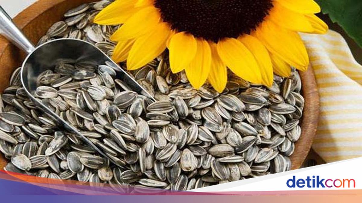 Kecil-kecil Bernutrisi, Ngemil Kuaci Bagus buat Imun dan Jantung