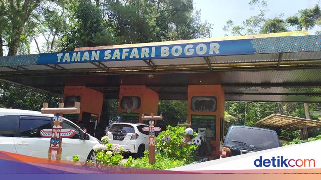 siapa pemilik taman safari indonesia