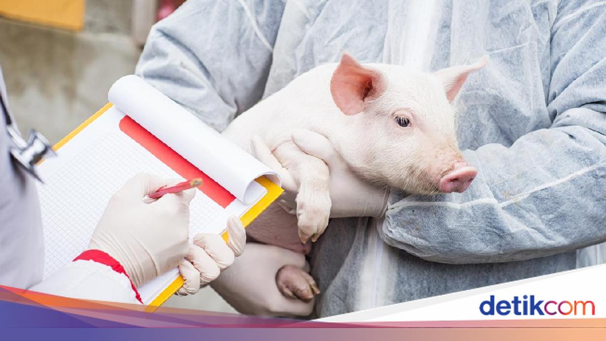 Sejarah Haramnya Babi dalam Islam, Larangannya Tertulis dalam Al-Qur'an