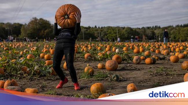 sejarah hari halloween dalam islam