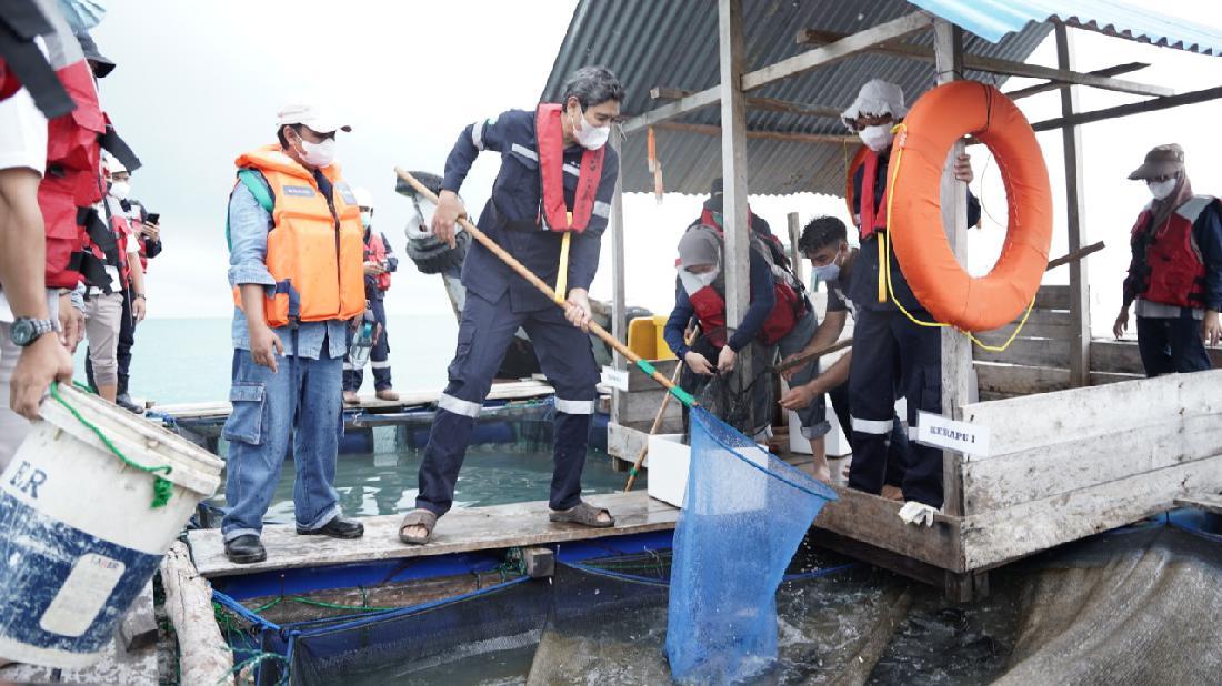 Ada Tempat Budidaya Ikan Dan Udang Di Kawasan Tambang, Gini Penampakannya