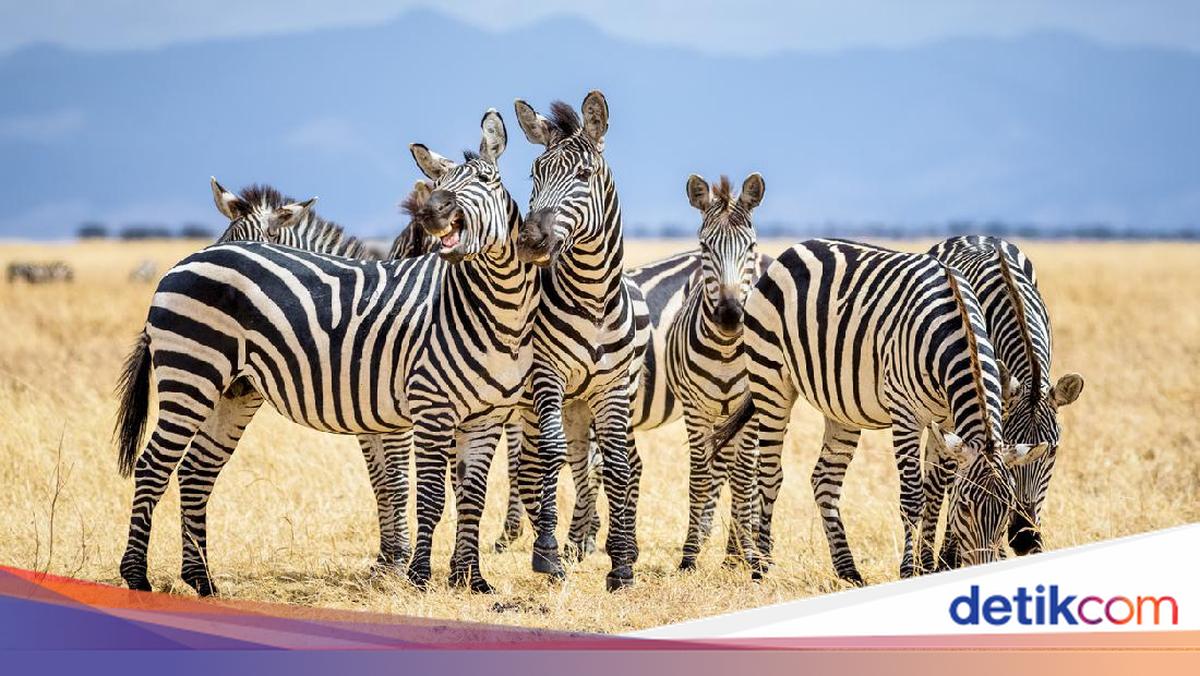 Yalangoch qizlarning jinsiy aloqa fotosuratlari