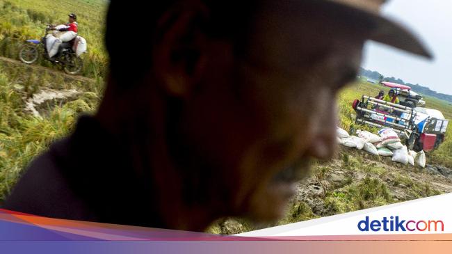 Prabowo Bakal Hapus Utang Petani, Nelayan-UMKM di Bank!