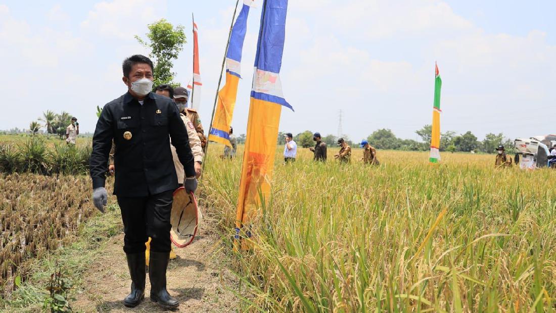 Herman Deru Raih Penghargaan Terkait Pengembangan Sektor Pertanian