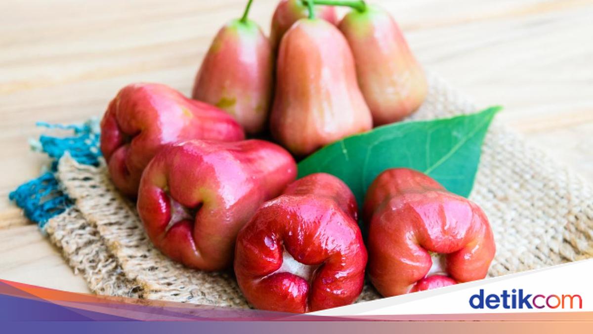10 Jenis Jambu Air di Indonesia Beserta Gambarnya