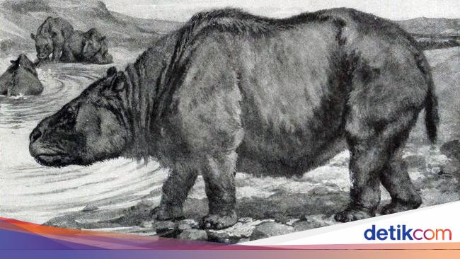 Getting to know Toxodon and the Origins of Darwin’s Theory