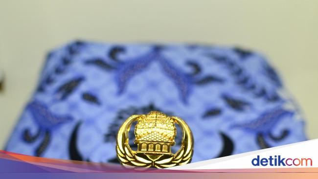 Apa Perbedaan PPPK Umum dan Khusus? Berikut Penjelasannya