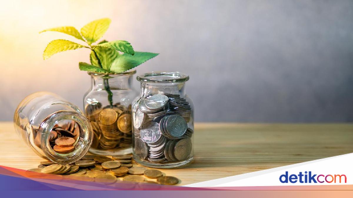 Mau Investasi Untung? Jangan Taruh Telur di Satu Keranjang