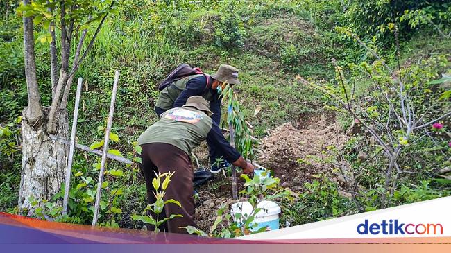 Merakit Small Food Estate Nusantara