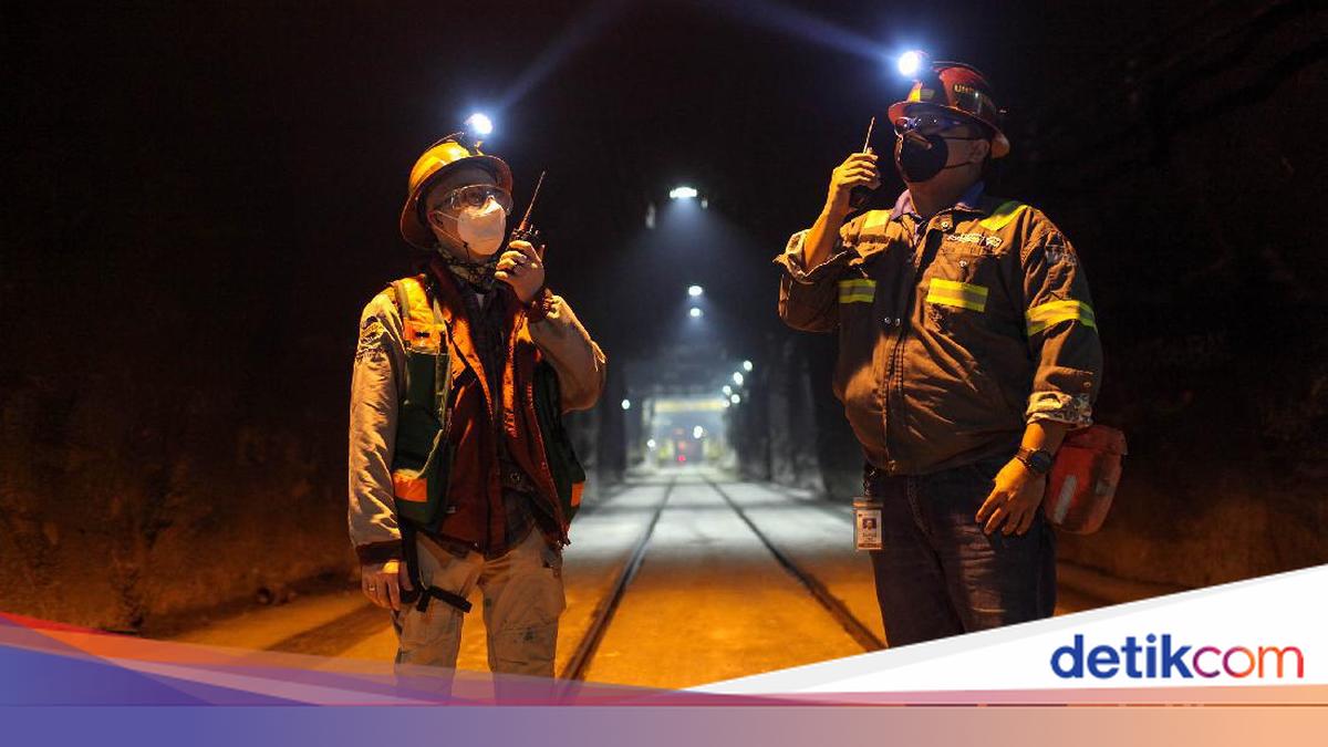 Dampak Buruk Jika Tambang Freeport Papua Berhenti 2041, Ini Penjelasannya