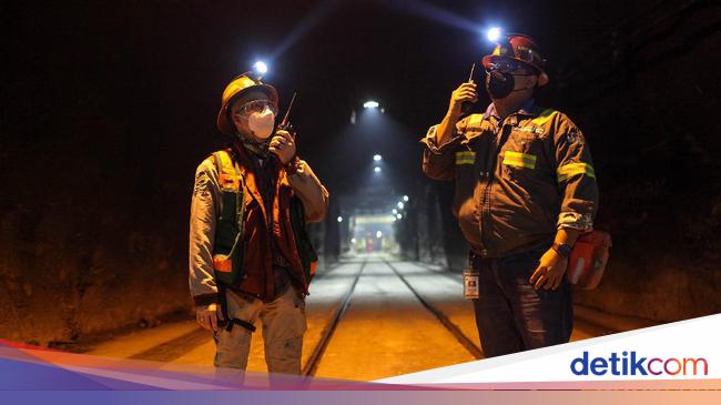 Freeport Buka Lowongan Buat Fresh Graduate Segini Gajinya Freeport Buka Lowongan Buat Fresh Graduate Segini Gajinya