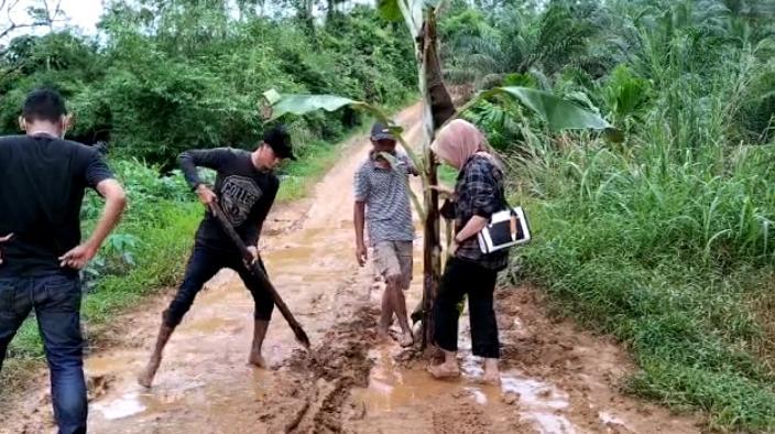 Protes Jalan Rusak Tak Diperbaiki, Warga Jambi Tanam Pohon Pisang