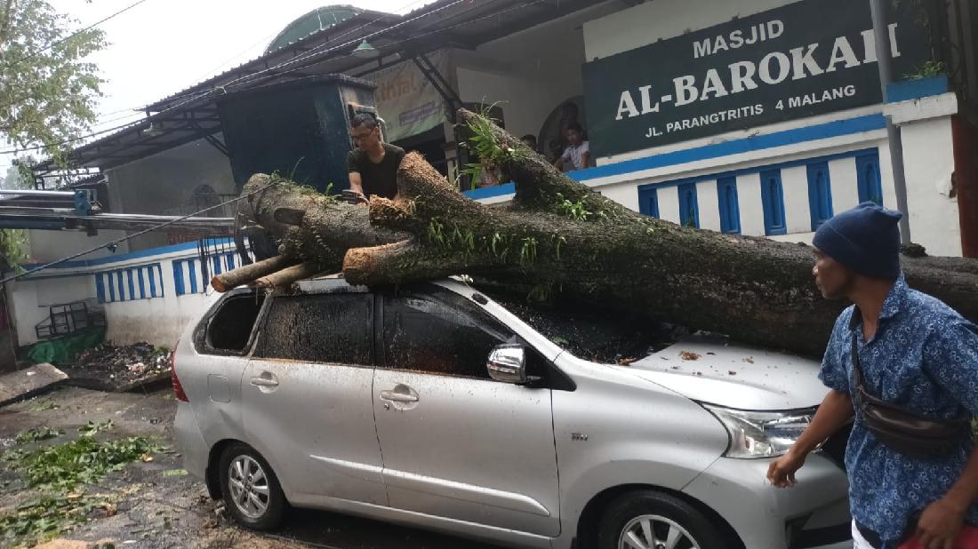 Hujan Es Disertai Angin Kencang Kota Malang Tumbangkan Pohon Di 9 Titik