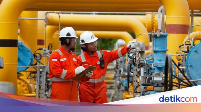 Pemerintah Bakal Tetapkan DMO Gas Bumi, 60% Produksi untuk Dalam Negeri