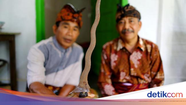 Tradisi Bisoq Keris, Memandikan Keris dengan Darah di Lombok