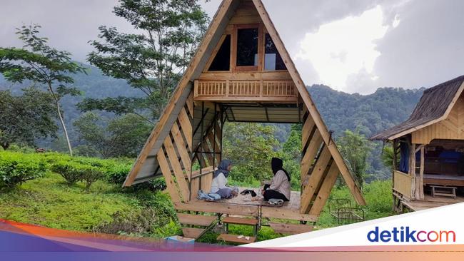 Menikmati Keheningan Alam Perkebunan Teh Margawindu Sumedang