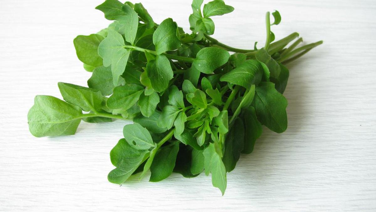 Manfaat Selada Air, Sayuran Super untuk Kesehatan Tubuh