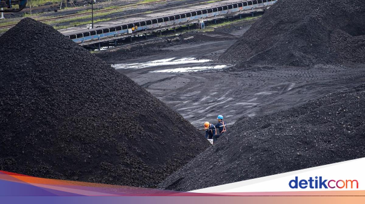 PTBA Curhat DMO Batu Bara Kegedaan, Laba Tergerus