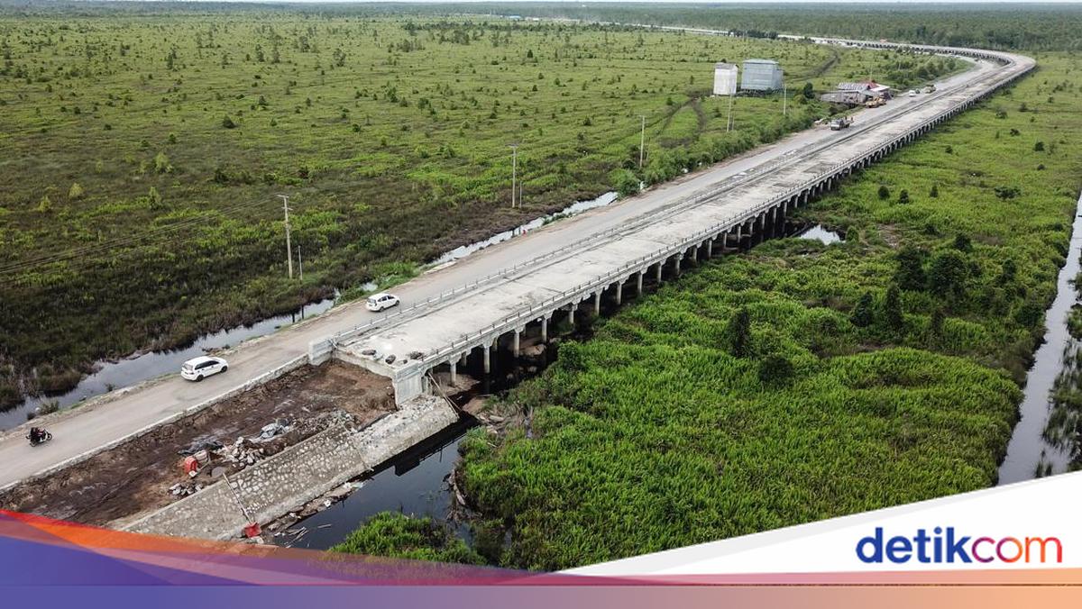China dan Rusia Berminat Bangun Kereta Trans Kalimantan