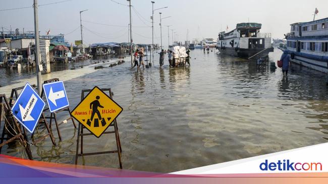 Bpbd Waspada Banjir Rob Di Pesisir Jakarta 7 13 Agustus