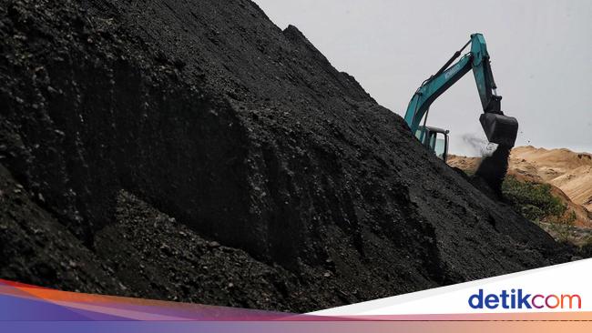 When Members of the DPR Reveal about the ‘Queen of Coal’ in East Kalimantan, which is known to be slippery