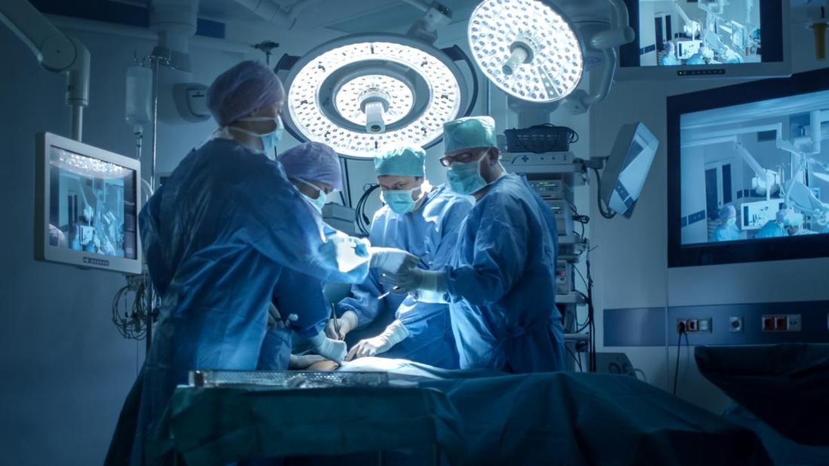Eksperimen Tim Medis China Donorkan Paru-paru Babi ke Manusia, Ini Hasilnya