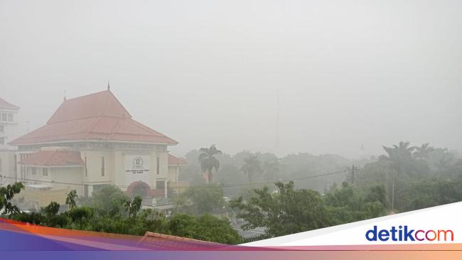 Hujan Deras Disertai Angin Kencang Terjang Surabaya Waspada Pohon Tumbang