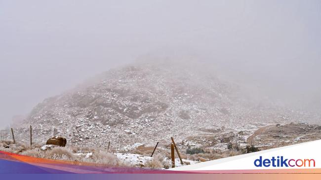 Snow-capped mountains in Saudi Arabia, immediately invaded by tourists