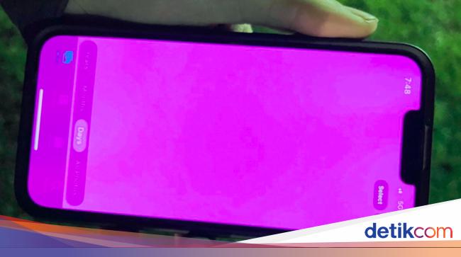 A number of iPhone 13 users complain of experiencing a “pink screen”