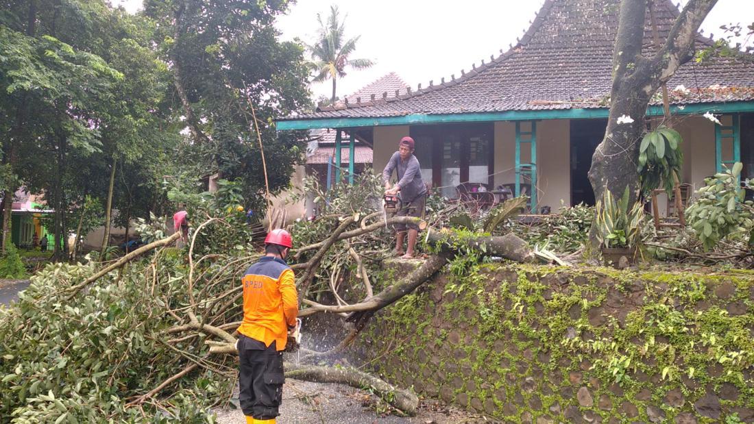 Puting Beliung Terjang Srikandang Jepara, Puluhan Rumah Rusak