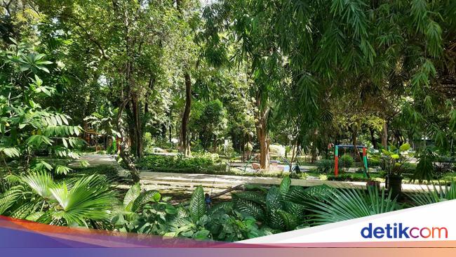 Memahami Karakteristik Flora Bagian Barat Beserta Contohnya
